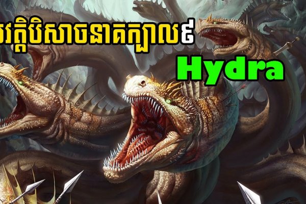 Дарк нет вход