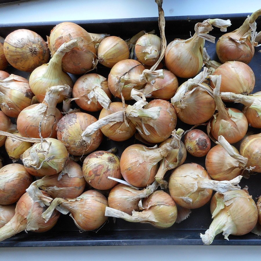 Какая сейчас ссылка на кракен
