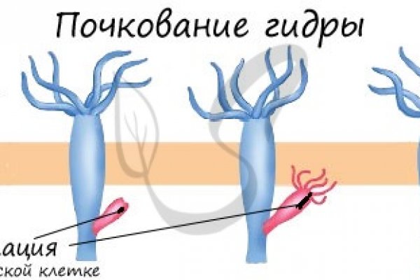 Кракен современный даркнет