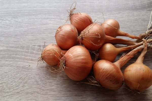 Кракен зеркало рабочее onion