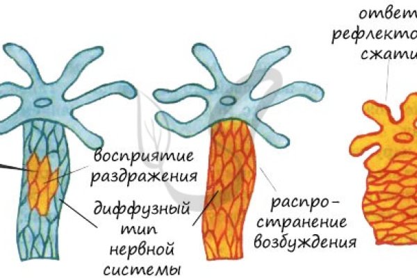 Кракен прямая ссылка