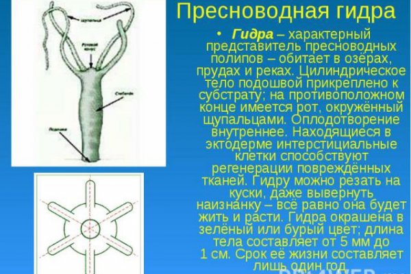 Кракен сайт пишет пользователь не найден