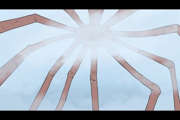 Kraken 23 at