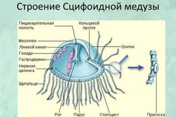 Через какой браузер можно зайти на кракен